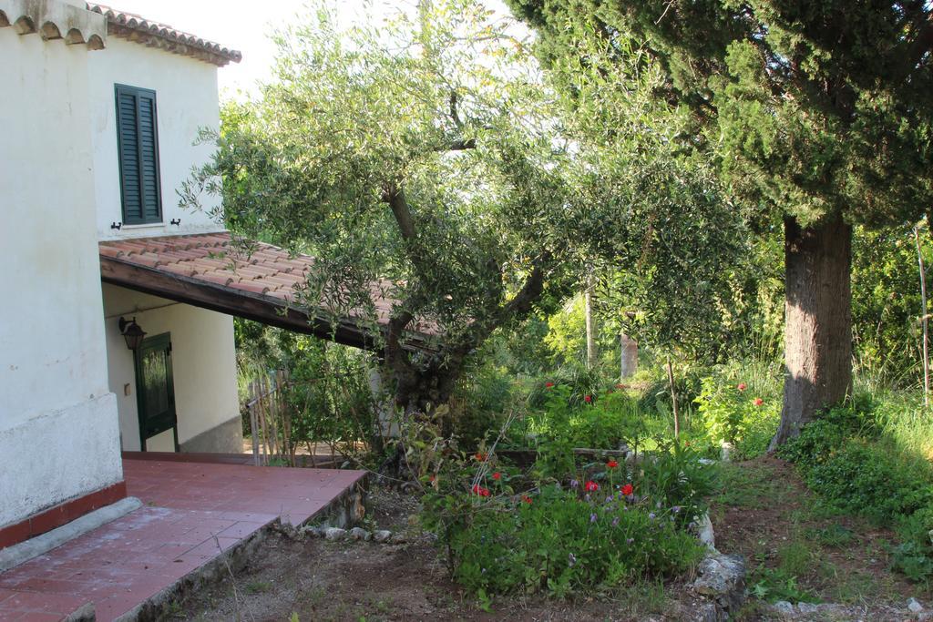 Tenuta Conte Ruggero Santa Domenica  Quarto foto